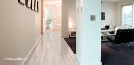 classic roble neptuno