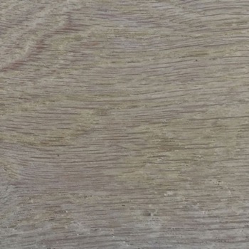 ocean wood