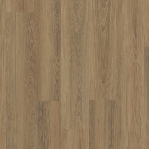 roble aceitado (v4) ref ac4 32872  ac5 33872  ac5 v4 34872