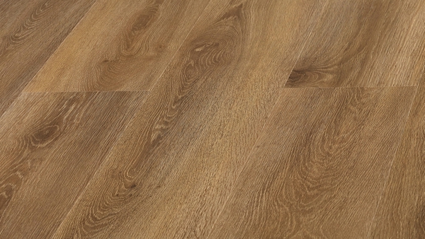 d5385 wg diogenes oak