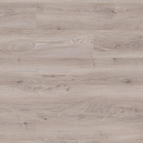 hardy oak 1 lama 5954