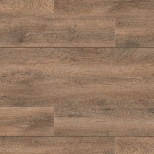 renaissance oak 1 lama 5948