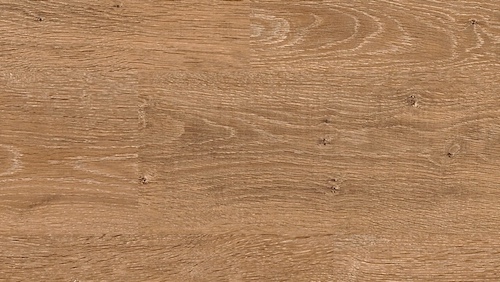 roble-a-la-cal-6027
