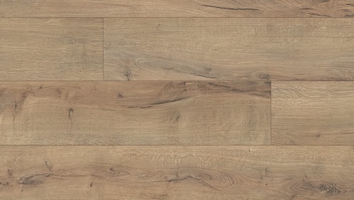 roble-agrietado-terra-6439