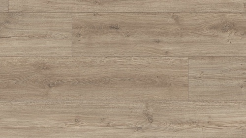 roble-arcadia-6412