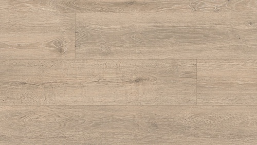 roble-caledonia-6421