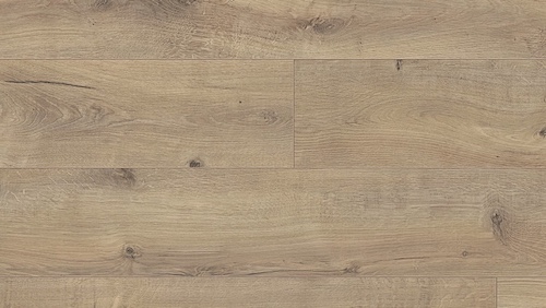 roble-agrietado terra-6439