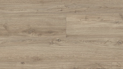 roble-arcadia-6412