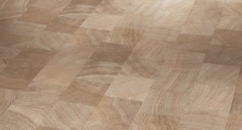 roble corte transversal calizo