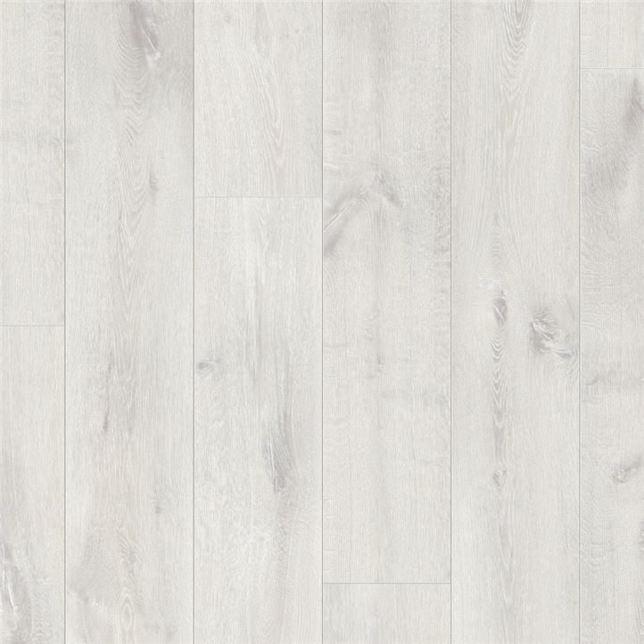 roble invierno l0223 01764