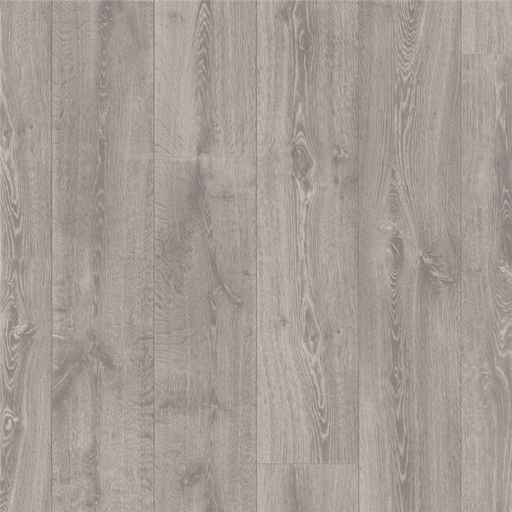 roble otoño l0323 01765